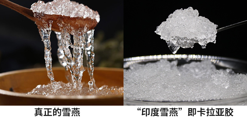 真假雪燕