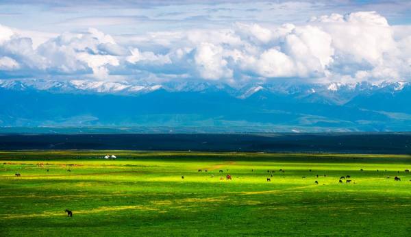 天山草原.jpg 天山草原.jpg