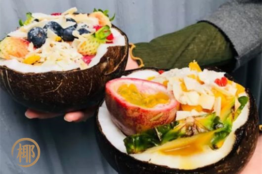 椰子日记 椰子日记