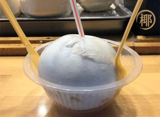 椰子日记 椰子日记