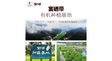 富硒米胚冲调粉图2