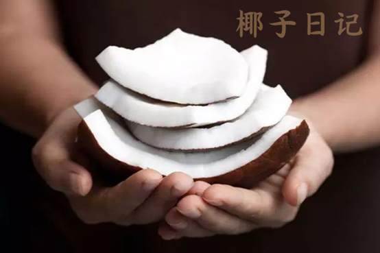 椰子日记 椰子日记