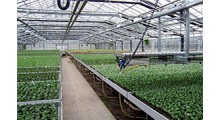 使用温室大棚配件的使用和保护方式有哪些图1
