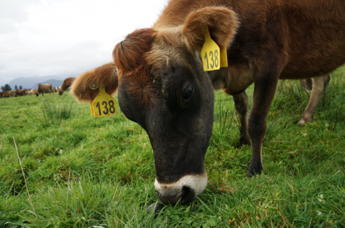 美纳多婴儿配方奶粉怎么样 科学配方受青睐