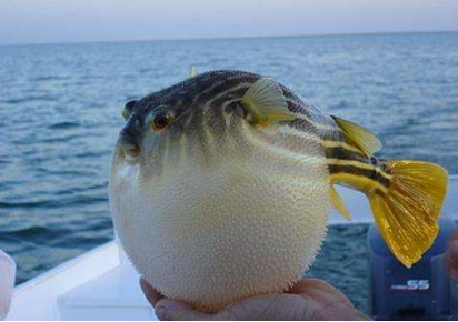 我国多数居民存在食品安全认知误区 甚至有严重安全隐患