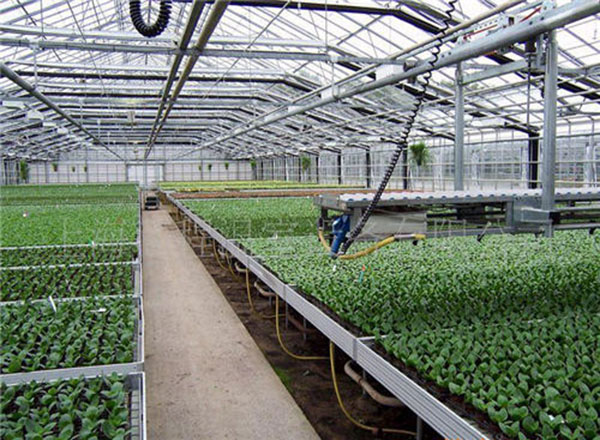 郑州遮阳网覆盖温室大棚培育蔬菜的方式
