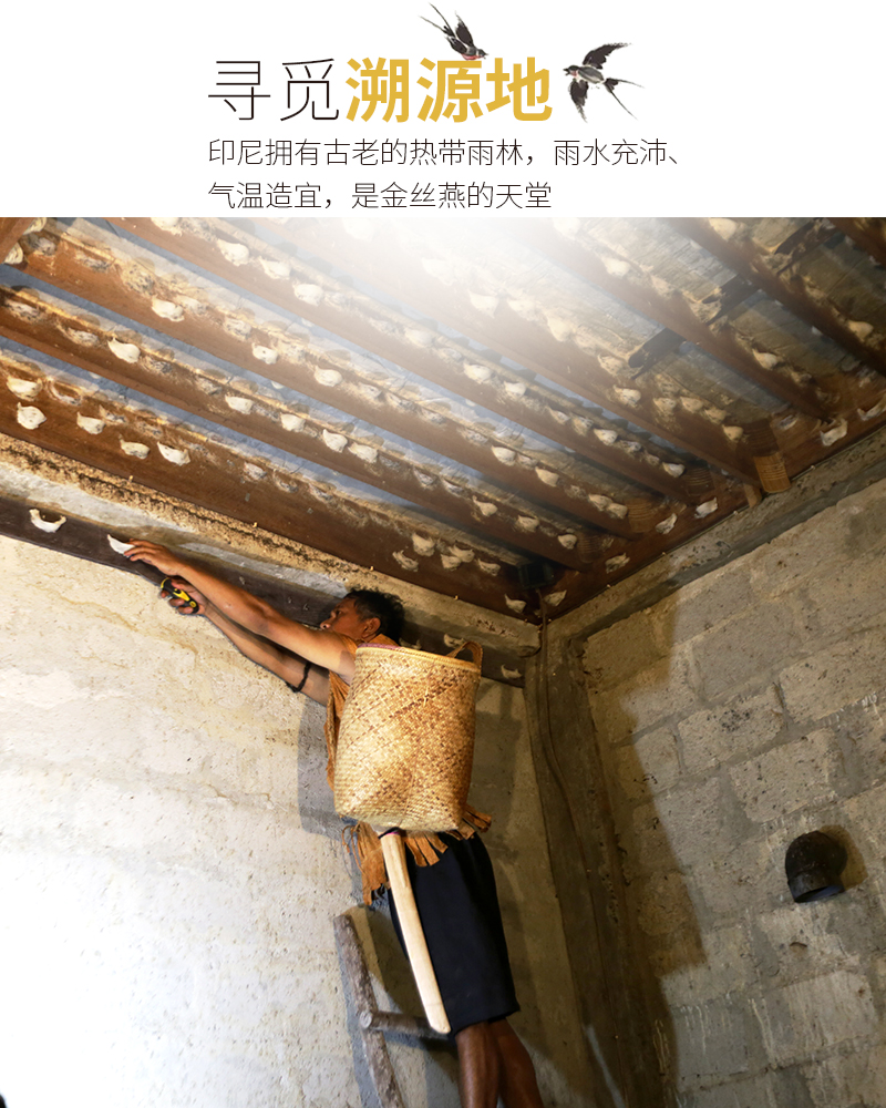 花旁燕窝 携手顺丰/京东冷链全面布局新零售 花旁燕窝 携手顺丰/京东冷链全面布局新零售
