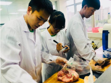 关注食品安全,共筑健康家园 ——暑期社会实践活动新篇章二之食品安全检验 关注食品安全,共筑健康家园 ——暑期社会实践活动新篇章二之食品安全检验