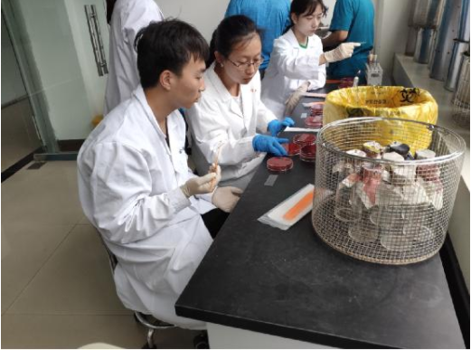 走进疾控中心,保障“舌尖上的安全” ——暑期社会实践活动新篇章三之食品肉质安全 走进疾控中心,保障“舌尖上的安全” ——暑期社会实践活动新篇章三之食品肉质安全