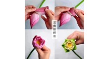太空莲红荷花大朵观赏莲鲜切花供佛鲜莲花尚品莲皇批发供应图3