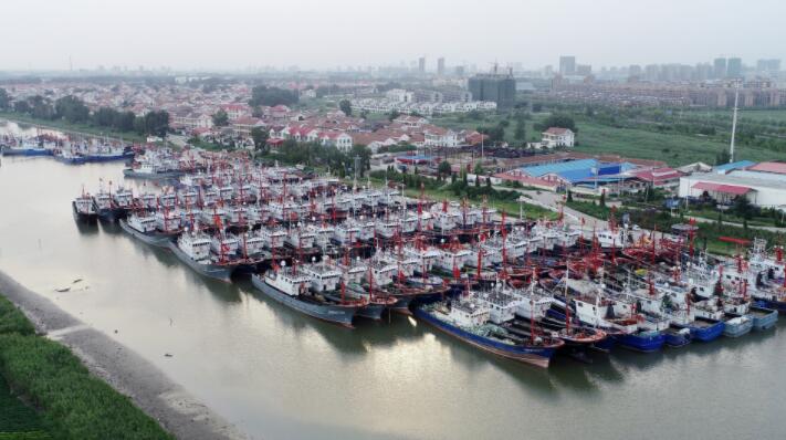 7月29日,在江苏省连云港市赣榆区青口港渔业码头,渔船在港内等候