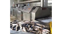 科威嘉尼液氮速冻机包子饺子面点水产预制菜调理包速冻图2