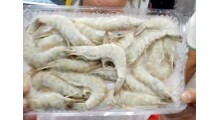 活冻南美白虾图2