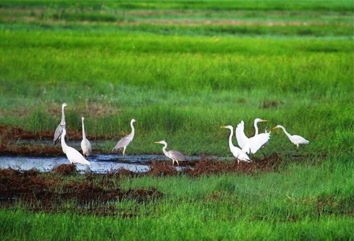双鸭山市特色旅游为大美龙江增光添彩