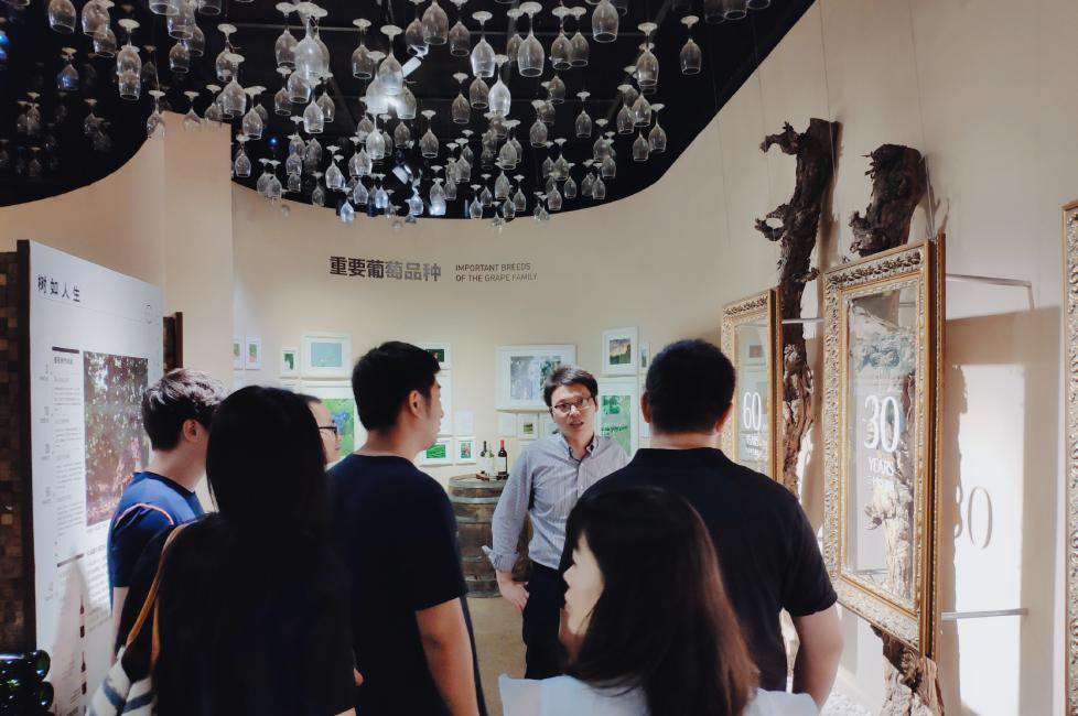 1565080206292185.png 1565080206292185.png