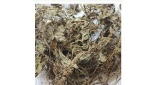 车前草提取物图1