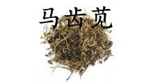 马齿笕提取物图1