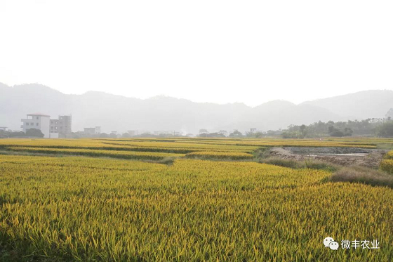 1566792542740738.png 图片18.png