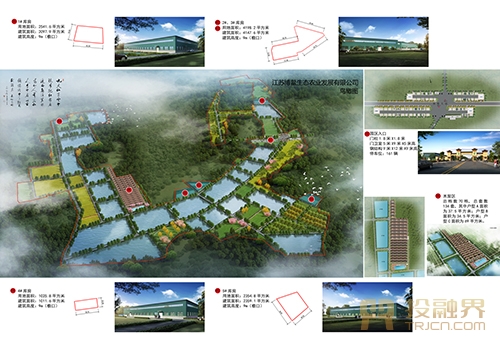 投入二千余万，建设高效生态农业示范园|投融界专访王福兵
