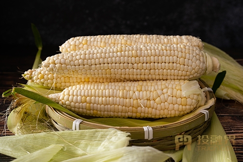 甜玉米生产加工，打造全产业链知名品牌|投融界专访李总