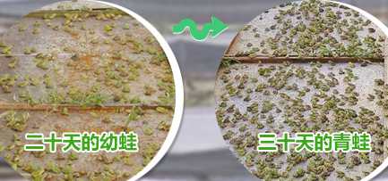 1568880332247738.png 微信图片_20190919160057.png