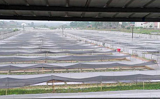 1568879844274401.png QQ图片20190919155233.png