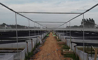 1568879822530433.png 1568879439(1).png