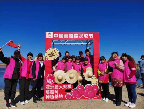 蔓越莓奇观闪耀东极 中国蔓越莓迎来丰收元年