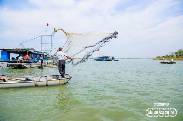 1569459498182548.jpg 图片1.jpg