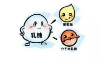 益生菌粉，益生菌口溶片食品oem代加工贴牌图2