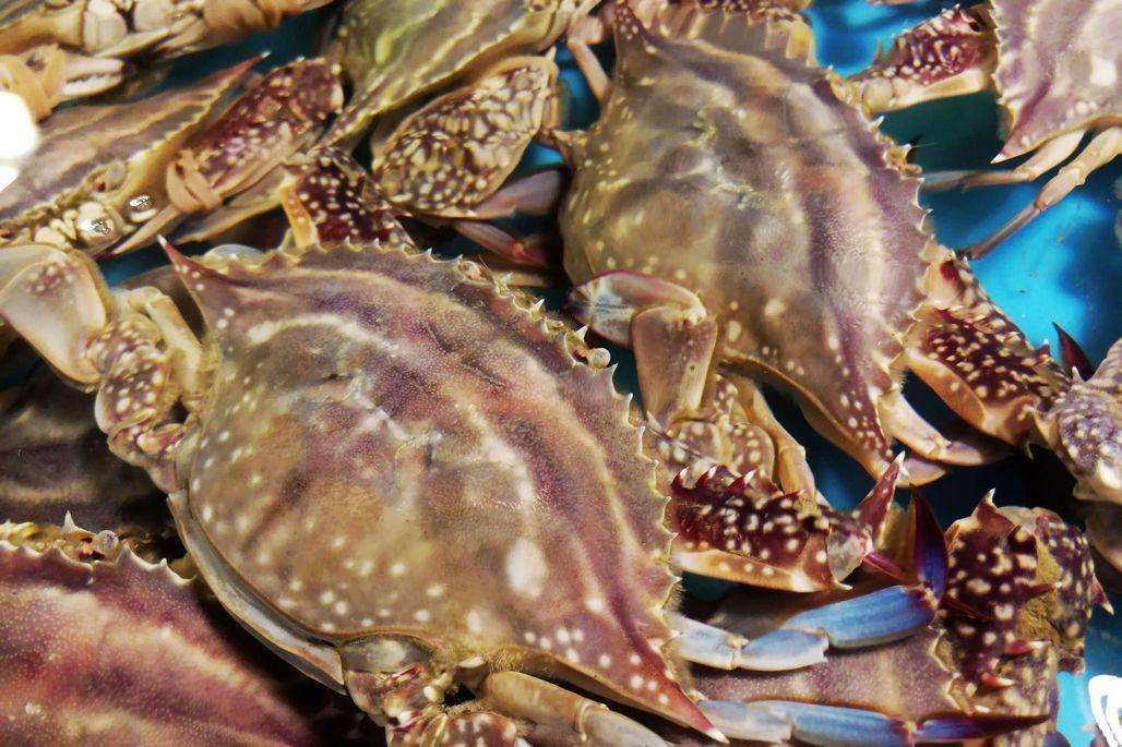 1570699909720610.jpg 3.jpg