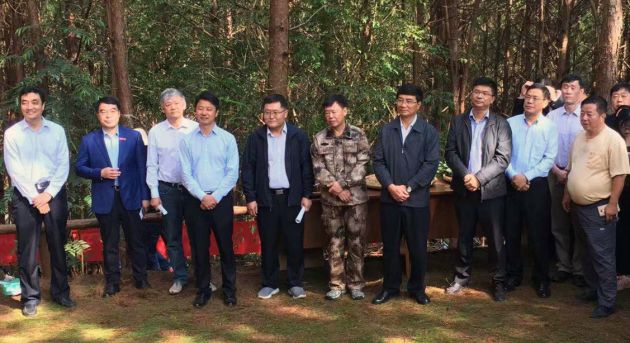 云南省林下三七种植成功 工程院澜沧扶贫五年一剑