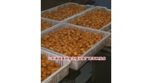 一直生产鱼豆腐设备的厂家,春秋鱼豆腐设备免费教技术图1