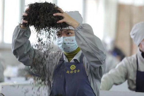 七彩云南庆沣祥匠心精制云南最好的古树茶