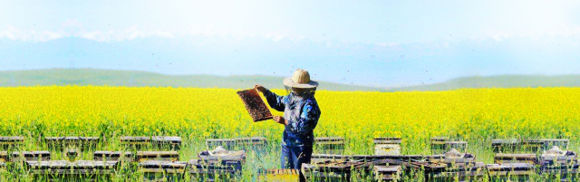 1574299615483073.png 1.png