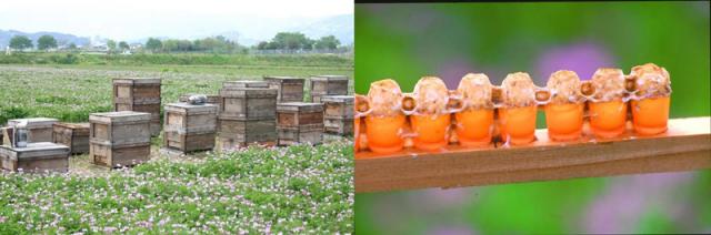 1574299628187862.jpg 2.jpg