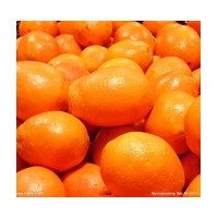 求购橙子