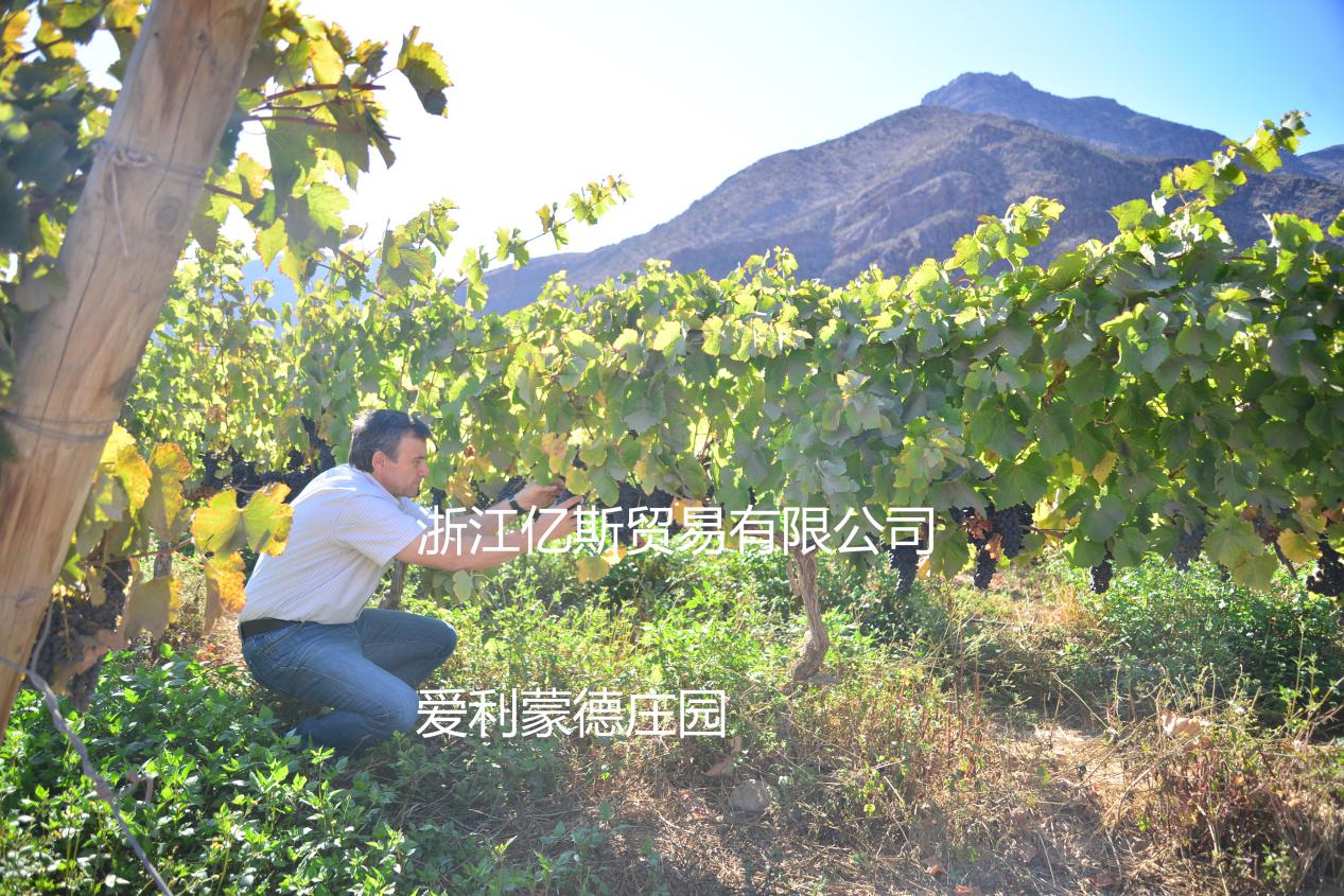 9413362b8cfe21e10583fa219e21a3f 9413362b8cfe21e10583fa219e21a3f