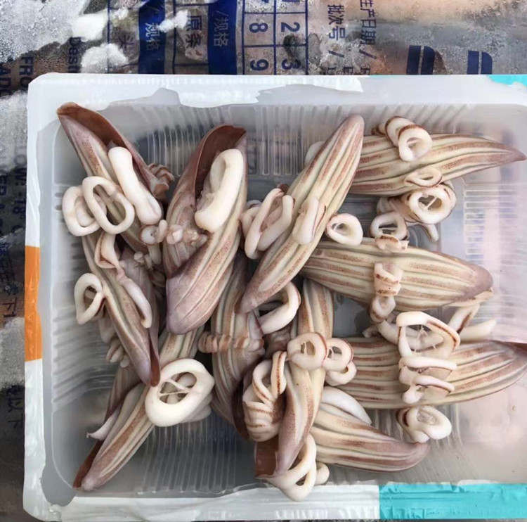 鱿鱼耳花批发 原汁鱿鱼牛角花批发 牛角花厂家货源批发