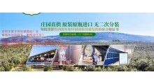 特级初榨橄榄油食用油原装进口西班牙橄榄油工厂厂家批发图2