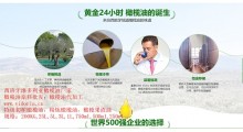 特级初榨橄榄油食用油原装进口西班牙橄榄油工厂厂家批发图3