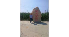 速冻去皮去籽葡萄果肉粒加工厂家图3