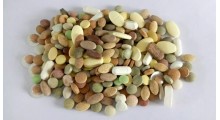 养视粉剂贴牌生产 固体饮料代加工生产 粉剂代加工 饮料oem图2