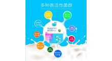 益生菌 发酵粉 固体饮料益生菌贴牌 粉剂OEM代加工图3