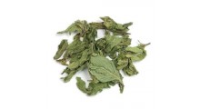 新鲜薄荷叶干食用泡水 20g瓶装 厂家供应图1