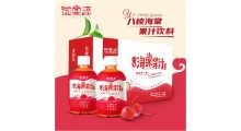 御棠源 特色农产品招商 海棠沙果 果干饮料图3