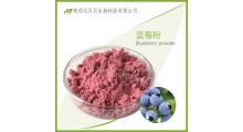 壹贝子蓝莓速溶汁粉 SC源头厂家直供口感好营养丰富 蓝莓粉图1