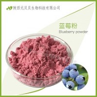 壹贝子蓝莓速溶汁粉 SC源头厂家直供口感好营养丰富 蓝莓粉