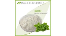 薄荷粉 SC源头厂家直销薄荷提取物 纯薄荷粉壹贝子薄荷脑粉图1