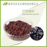 SC源头厂家直供巴西莓提取物 壹贝子巴西莓果粉